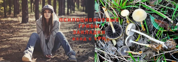крисы Балабаново