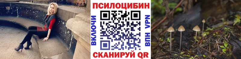 как найти наркотики  Воскресенск  Галлюциногенные грибы мицелий 